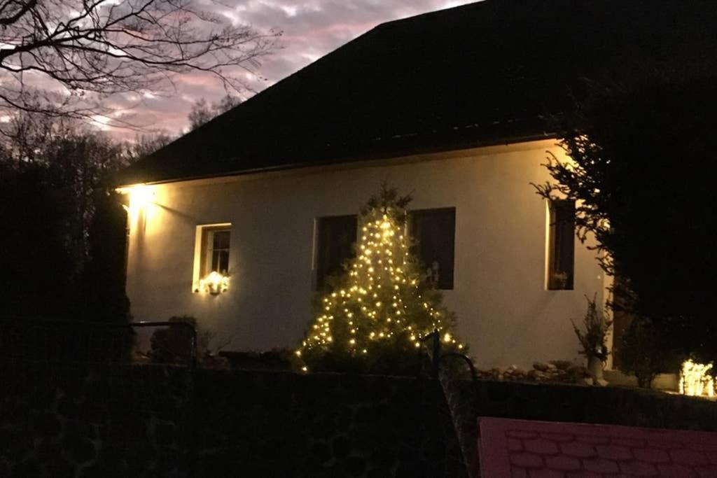 Apartman U Pamatneho Stromu Apartment Česká Lípa Exterior foto